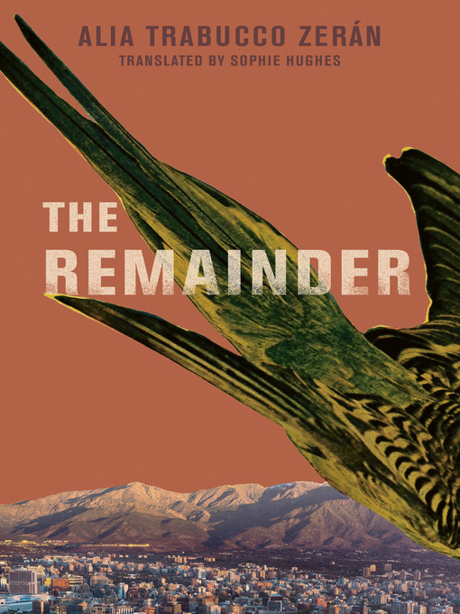 Cover of The Remainder